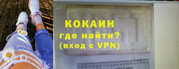стаф Заводоуковск
