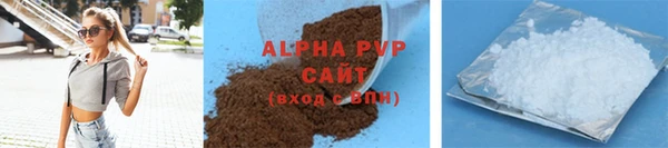 стаф Заводоуковск