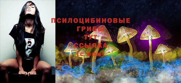 стаф Заводоуковск